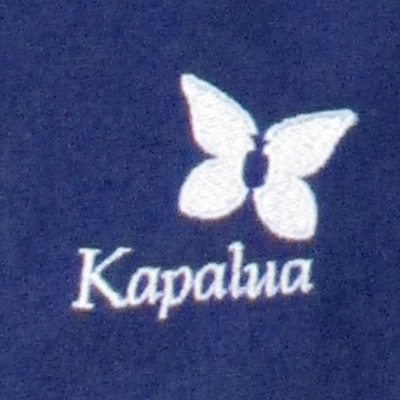 Pro Celebrity Mens Pleated "Kapalua" Blue Golf Short Pant NWT - Size 38W - 40W - Picture 1 of 5